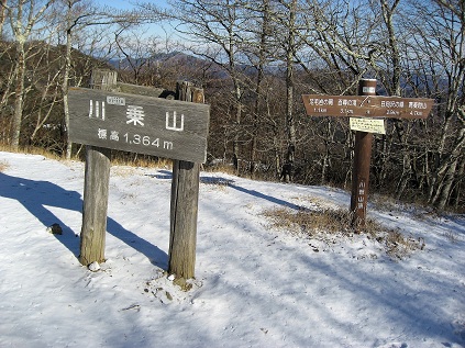 川苔山の山頂