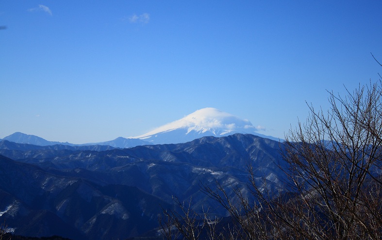 川苔山の山頂から富士山の景色