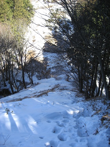 川苔山から日向沢ノ峰登山