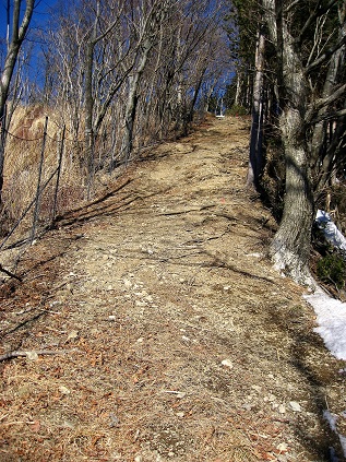 ウノタワ・大持山登山とルート