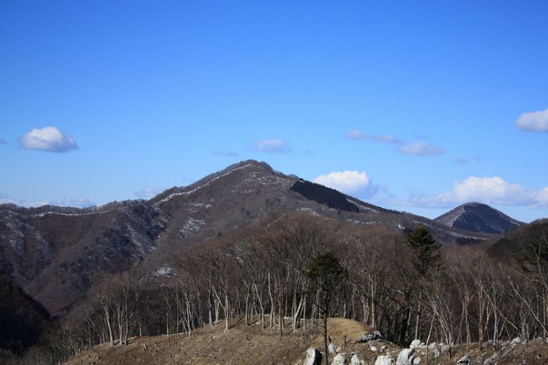 目指す大持山武甲山の山頂