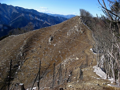 禿げ坊主な感じの斜面登山道