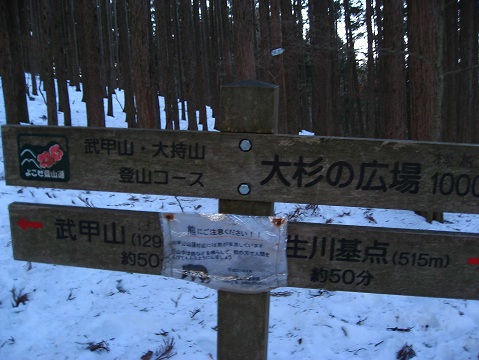 武甲山表参道コース大杉広場