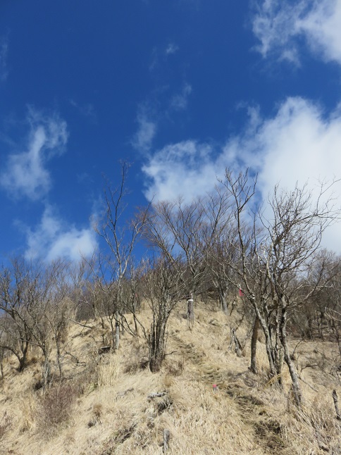 檜岳まで急坂