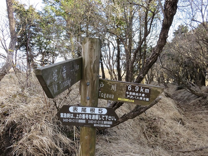 三ノ塔尾根から大倉バス停を目指し