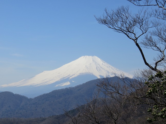 畦ヶ丸からから富士山