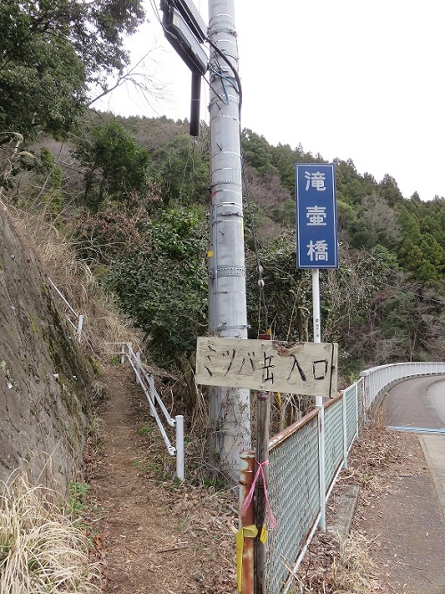 ミツバ岳登山口