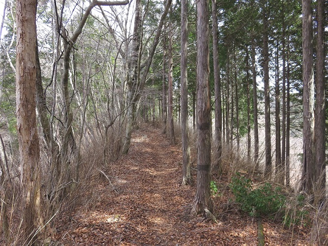 屛風岩山周辺