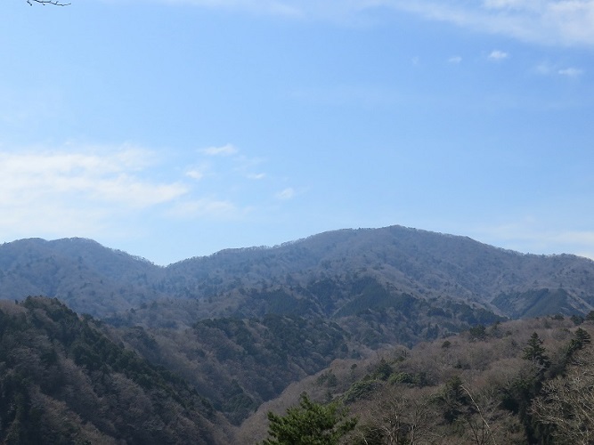 菰釣山と大栂菰釣山南尾根