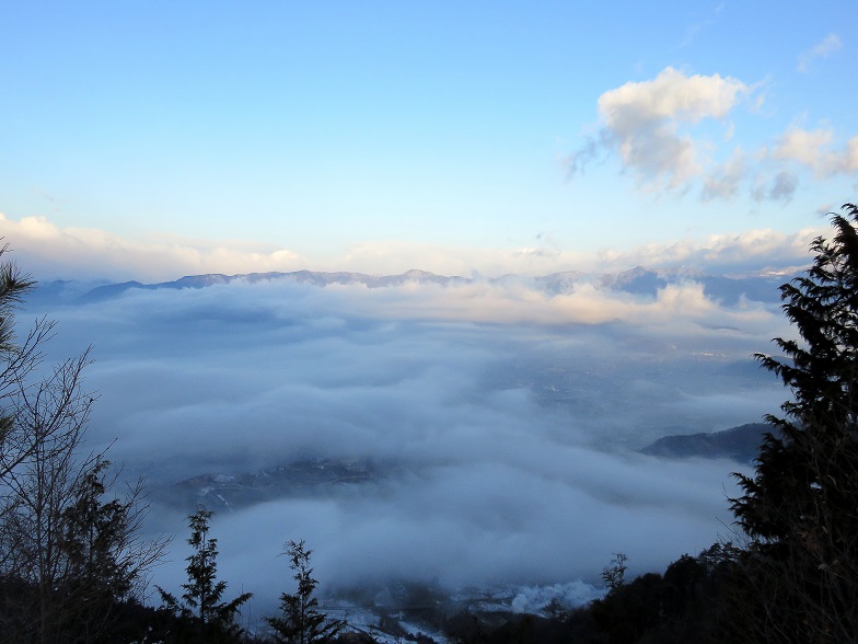 柏尾山周雲海