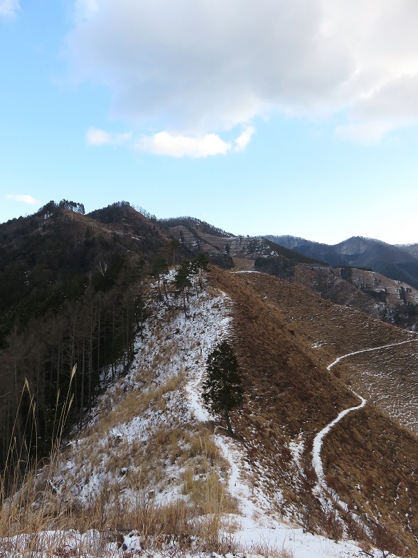 目指す棚横手山山火事