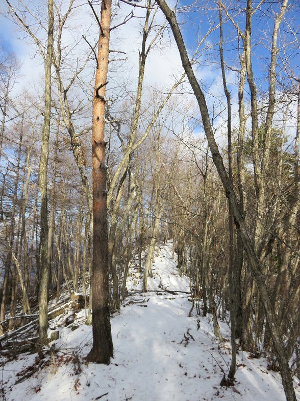 棚横手山の山頂から大滝山のルート