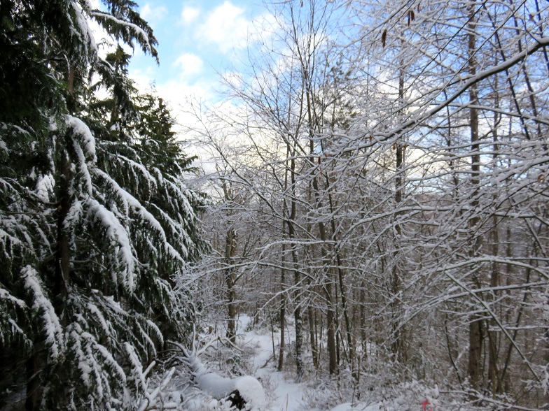 f:棚横手山から大滝山のルート積雪