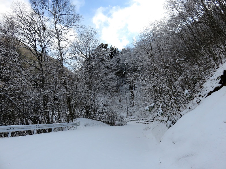 雪景色