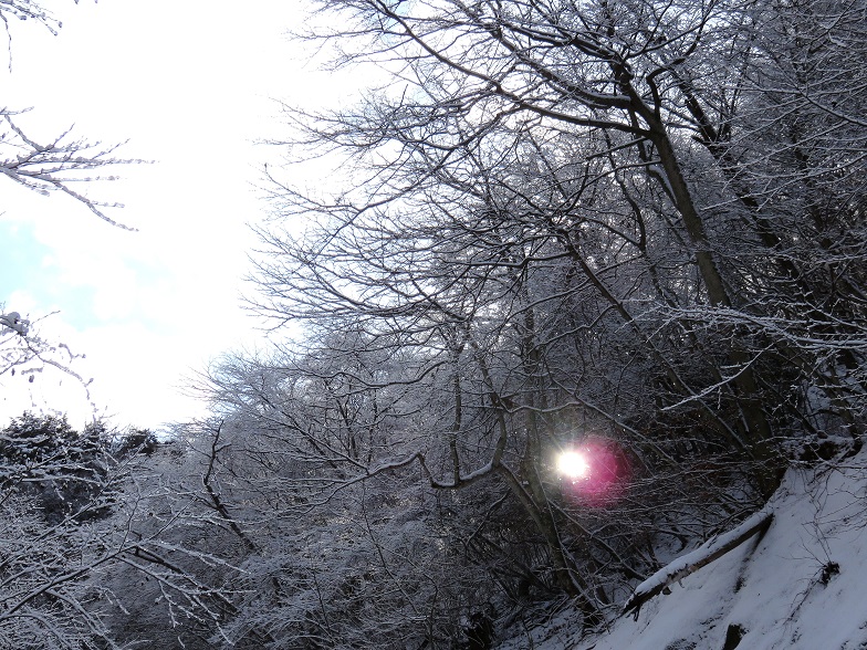 新雪でノートレース景色