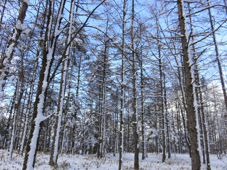 源次郎岳から中日川峠までは遠い
