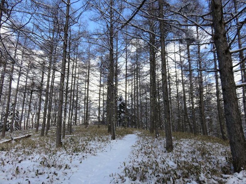 源次郎岳から中日川峠まで登山道が明瞭
