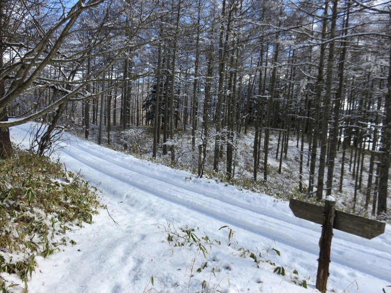 中日川峠