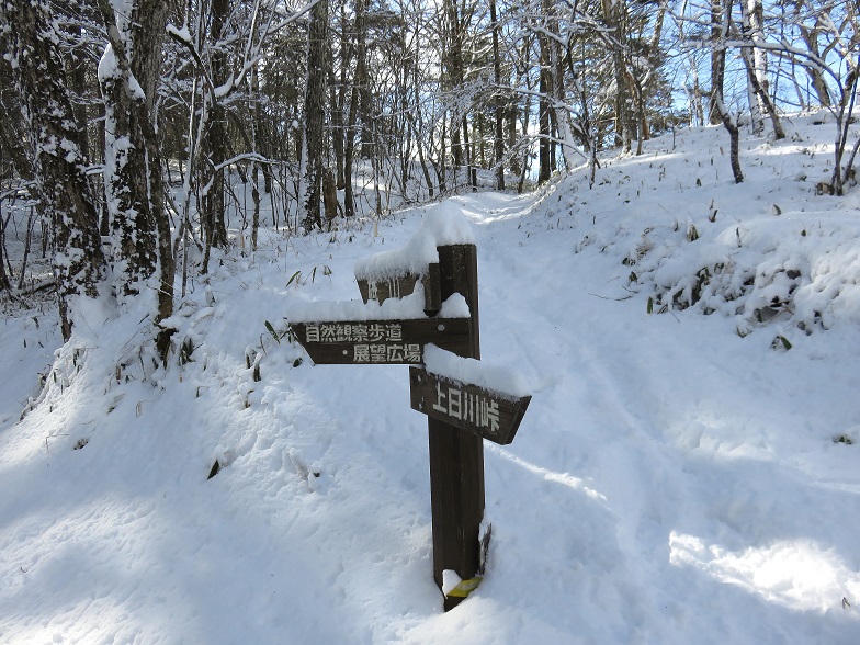 砥山山頂