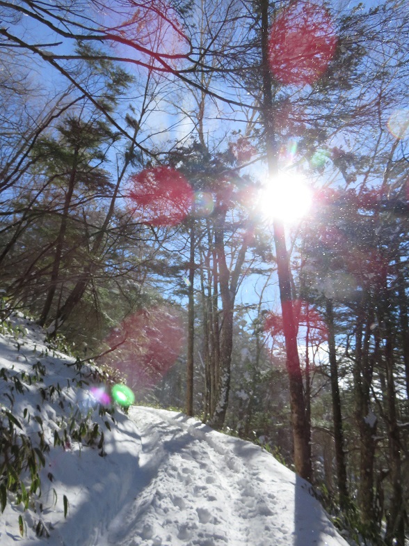 福ちゃん荘から大菩薩峠までの登山道