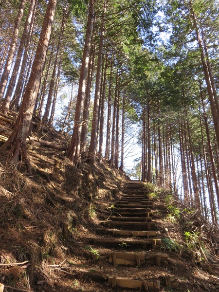 松茸山急斜面