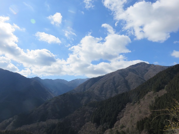 丹沢主脈縦走路がとても奇麗