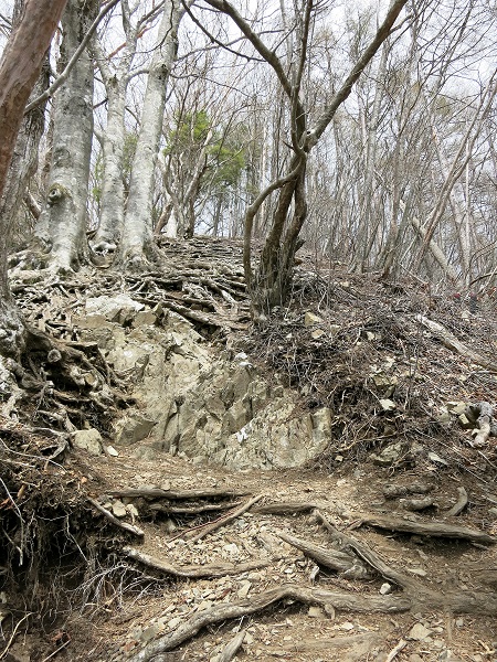 六ッ石山から先の奥秩父縦走路