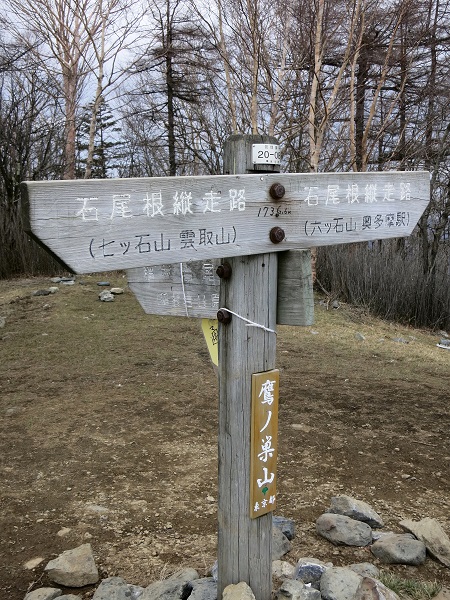 鷹ノ巣山の山頂