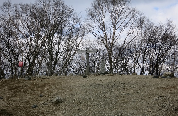 鷹ノ巣山避難小屋から七ッ石山まで地味なアップダウン