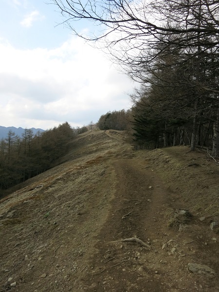 七ッ石山から雲取山への稜線