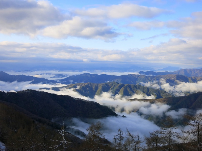 雲取山の雲海