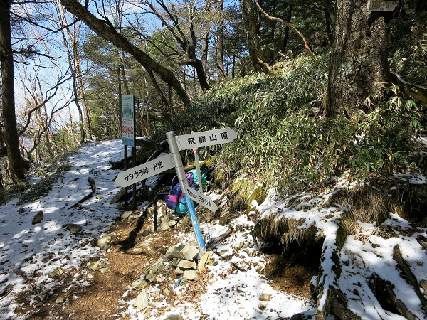 飛龍山への分岐