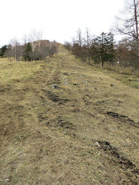 笠取山非常に急登