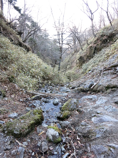 水干から東京湾まで138ｋｍの長旅