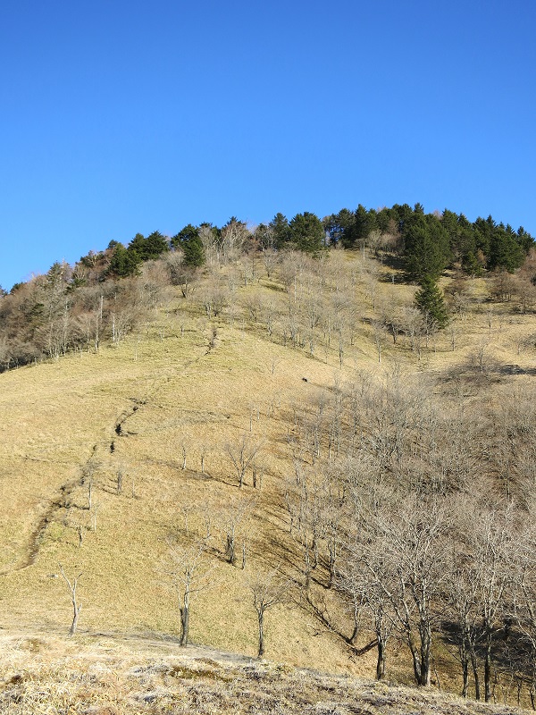 雁峠山荘からの景色