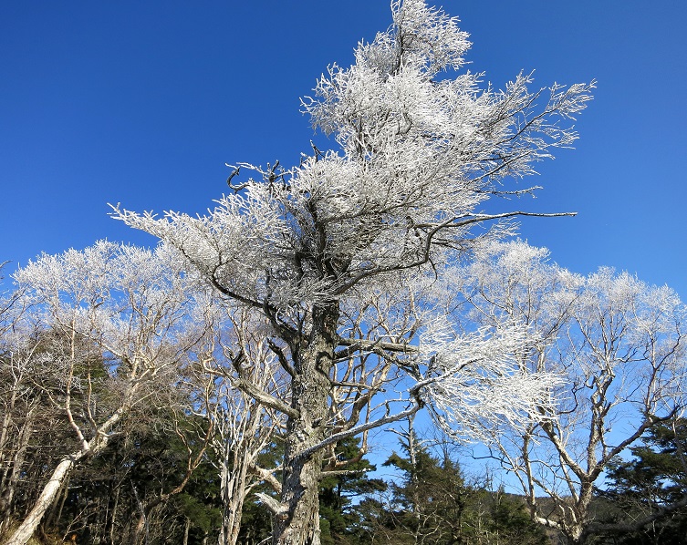 奥秩父風も強く寒かった