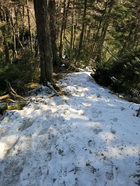 古礼山の山頂直下凍結