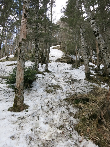 雁坂嶺から甲武信小屋まで雪と凍結