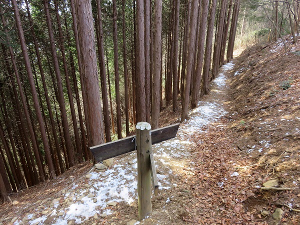 奥の院から巻き道と合流