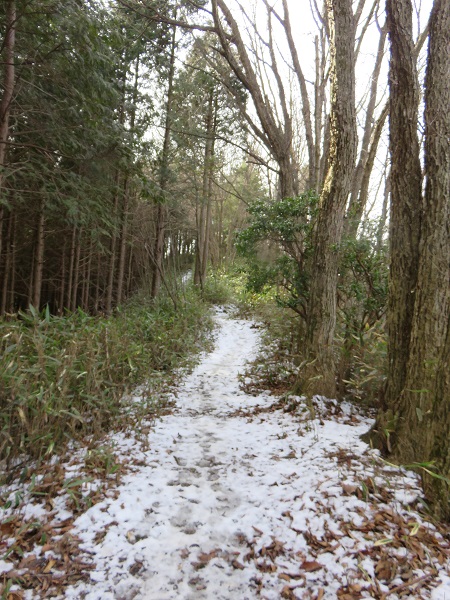 大岳山への登山道