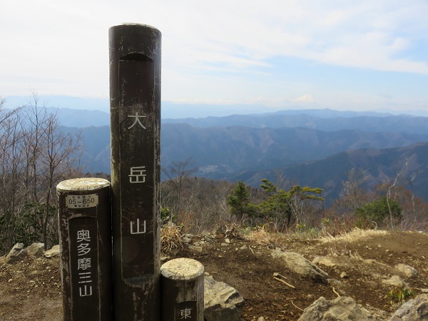 奥多摩三山の大岳山の山頂