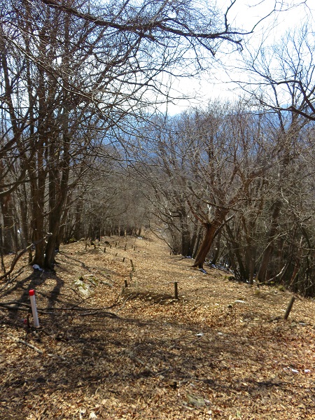 f:id:aohige0718:20170305170926j:plain 惣岳山から三頭山日帰り登山の様子