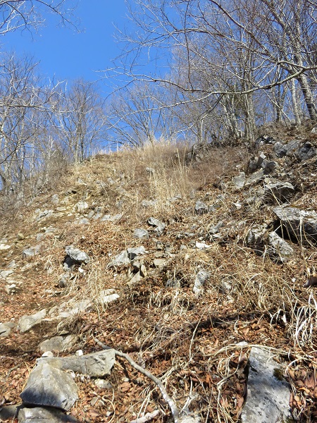 f:id:aohige0718:20170305171021j:plain 小河内峠まで凄い急坂の登山道