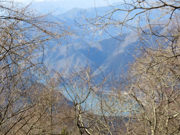 f:id:aohige0718:20170305171040j:plain 登山道から奥多摩湖景色