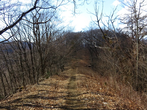 f:id:aohige0718:20170305171114j:plain 小河内峠周辺の様子