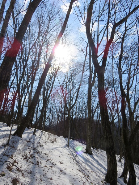 f:id:aohige0718:20170305171354j:plain 月夜見山から三頭山登山道雪道