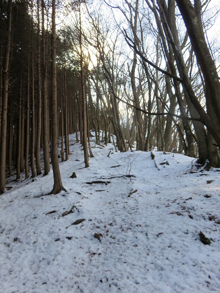 f:id:aohige0718:20170305171405j:plain 三頭山日帰り登山の様子