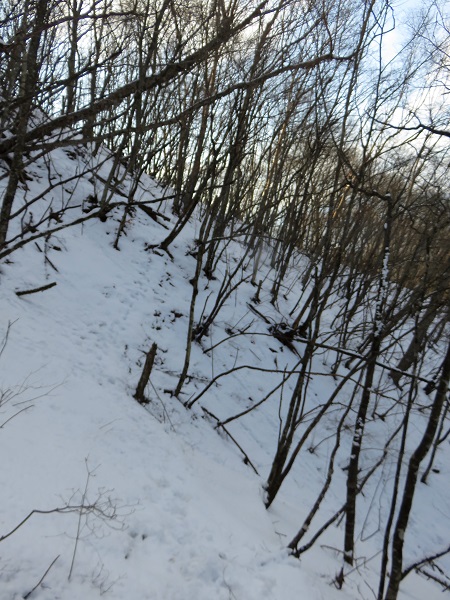 f:id:aohige0718:20170305172451j:plain 三頭山から奥多摩湖へ下山開始