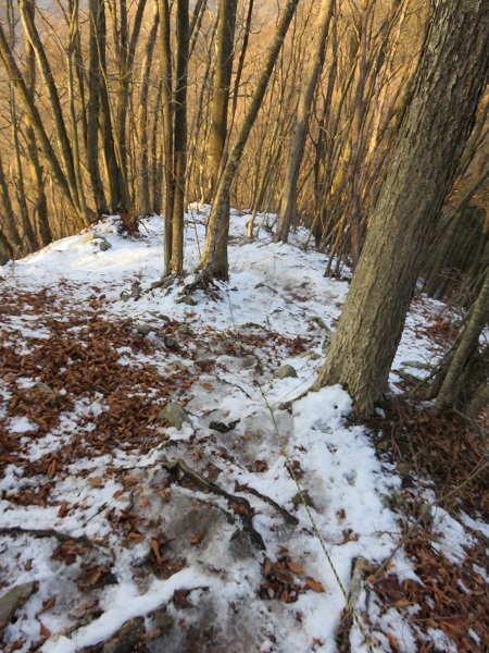 f:id:aohige0718:20170305173136j:plain 下山同急斜面が凍結