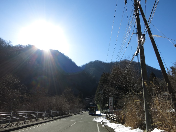 西丹沢自然教室箒杉